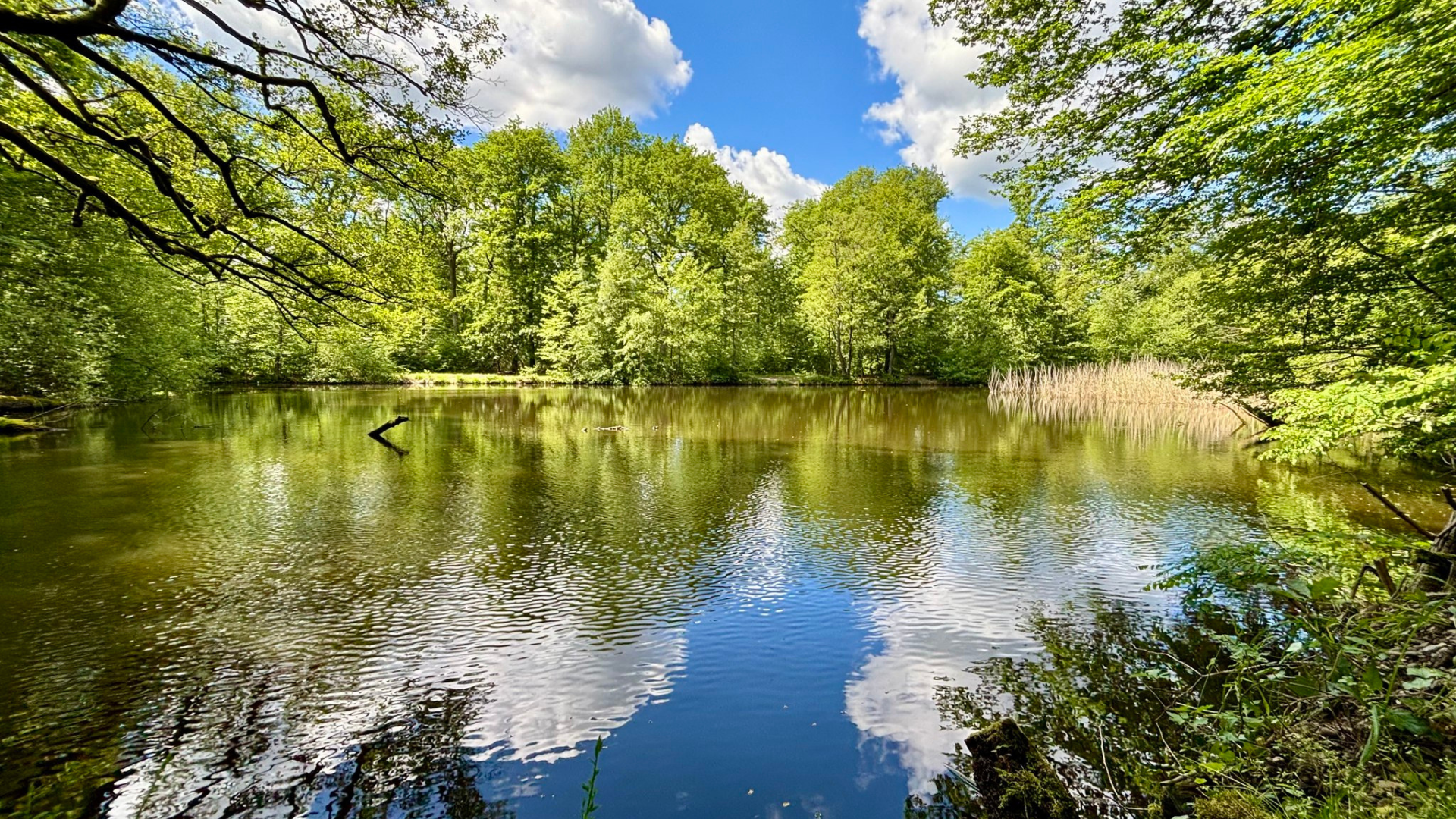 Bienvenue - sur le site de la Communauté d'Agglomération de Haguenau